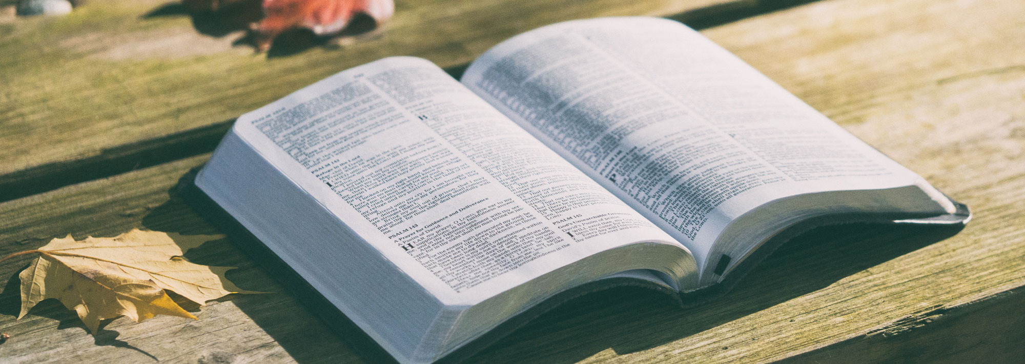 Far from the countries Vokalia